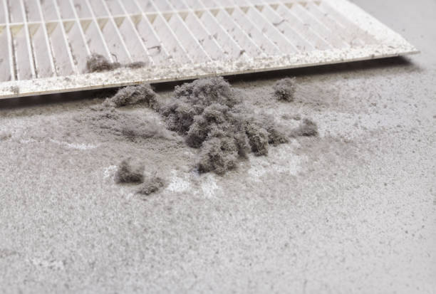 Best Home Air Vent Cleaning  in Waynesboro, TN